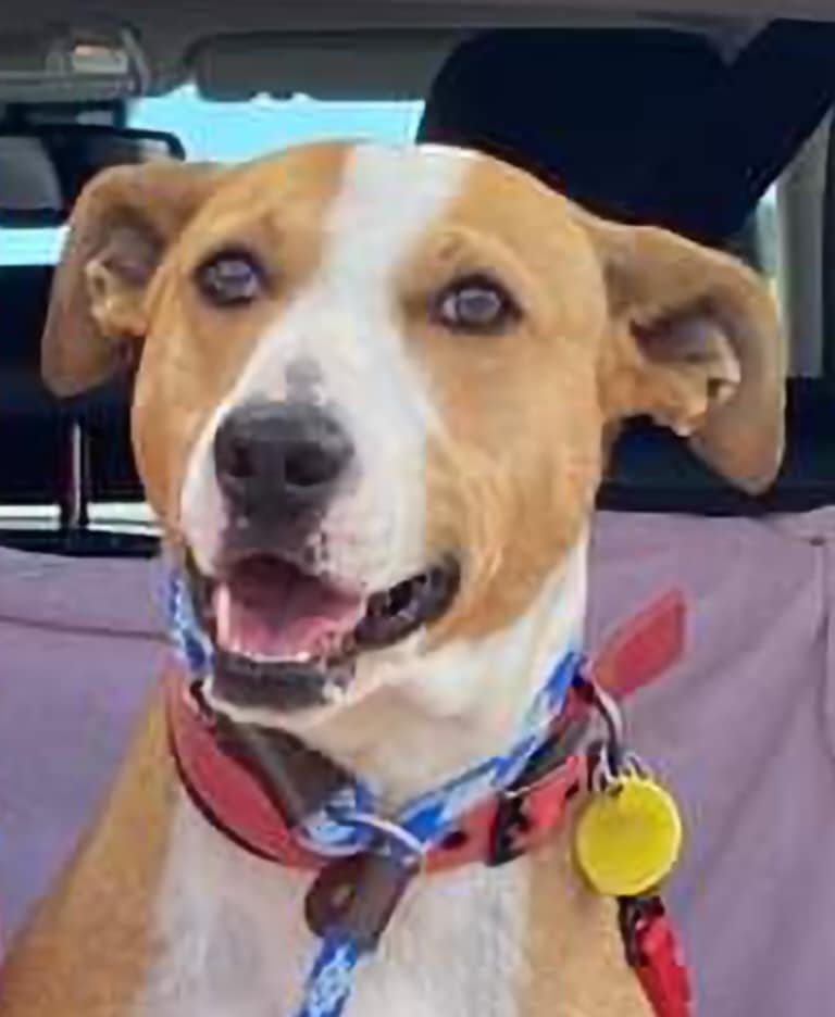 winnie