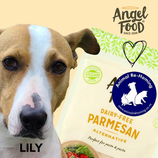BUY THIS DELICIOUS PRODUCT TO SAVE ANIMAL LIVES 